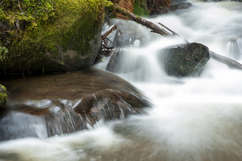 2012-09-Noojee-046